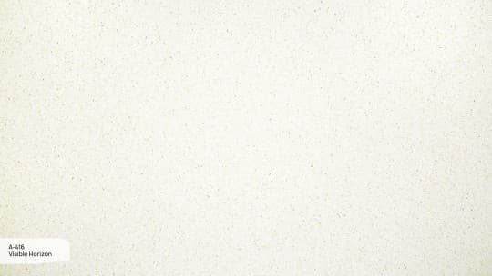 Visible Horizon